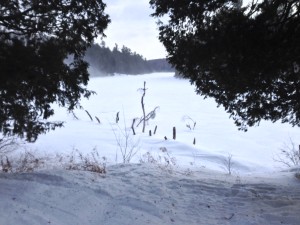 Gatineau Park