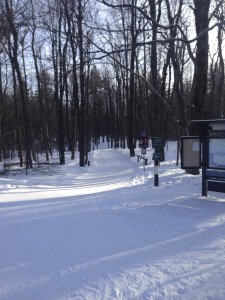 Gatineau Park