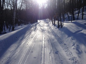 From Gatineau Park P17