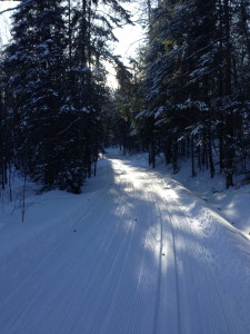 From Gatineau Park P17