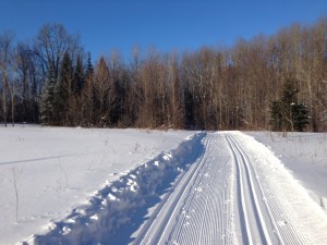 From Gatineau Park P17