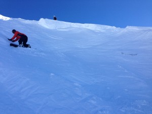 Blackcomb Ratbush