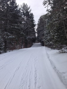 Gatineau Park