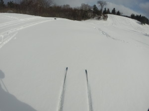 XC ski Chelsea