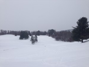 xc ski Chelsea