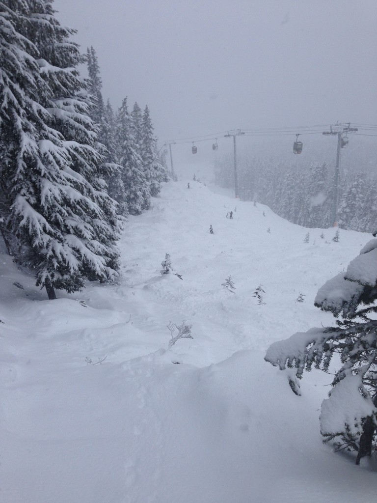 Whistler powder