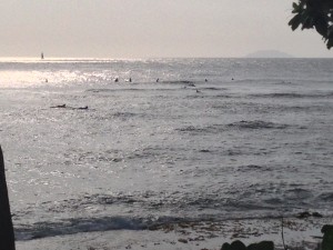 Rincon surfers
